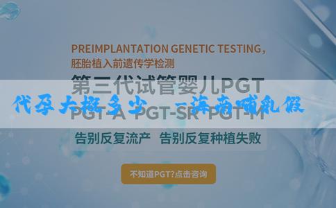 代孕大概多少錢-海南哺乳假期是什麼？怎麼算開始和結束時間？