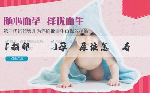 「捐卵論壇」孕婦尿液怎麼看男女準確率高嗎？什麼方法看男女更可靠？