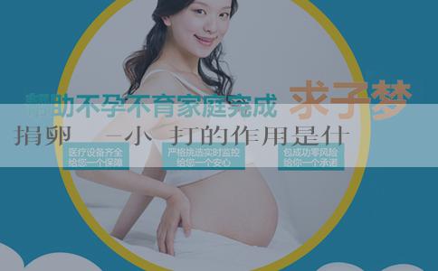 捐卵聯繫-小蘇打的作用是什麼？要男孩可以用小蘇打嗎？