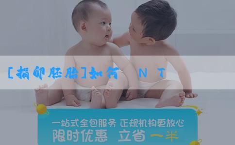 [捐卵胚胎]如何從N T數據看胎兒性別？酸兒辣女可靠嗎？