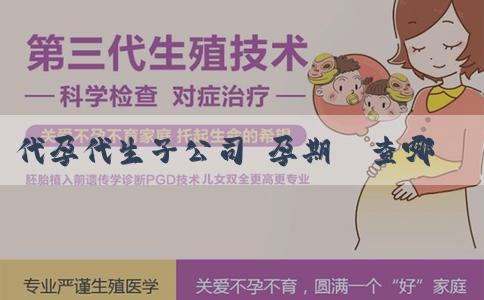 代孕代生子公司 孕期檢查哪個值可以看出生男生女?孕期檢查怎樣辨別男女? 代孕代生子公司 孕期檢查哪個值可以看出生男生女?孕期檢查怎樣辨別男女?